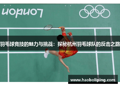 羽毛球竞技的魅力与挑战：探秘杭州羽毛球队的反击之路