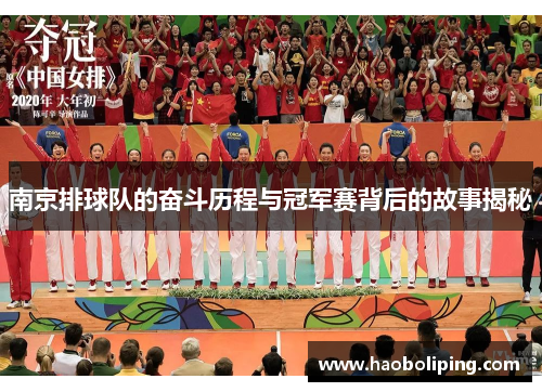 南京排球队的奋斗历程与冠军赛背后的故事揭秘